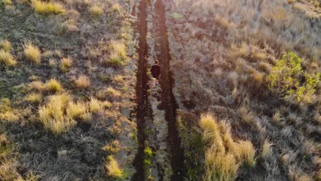 un dron vuela por encima de un hombre caminando a través de un campo de césped con su scooter hacia una hermosa puesta de sol