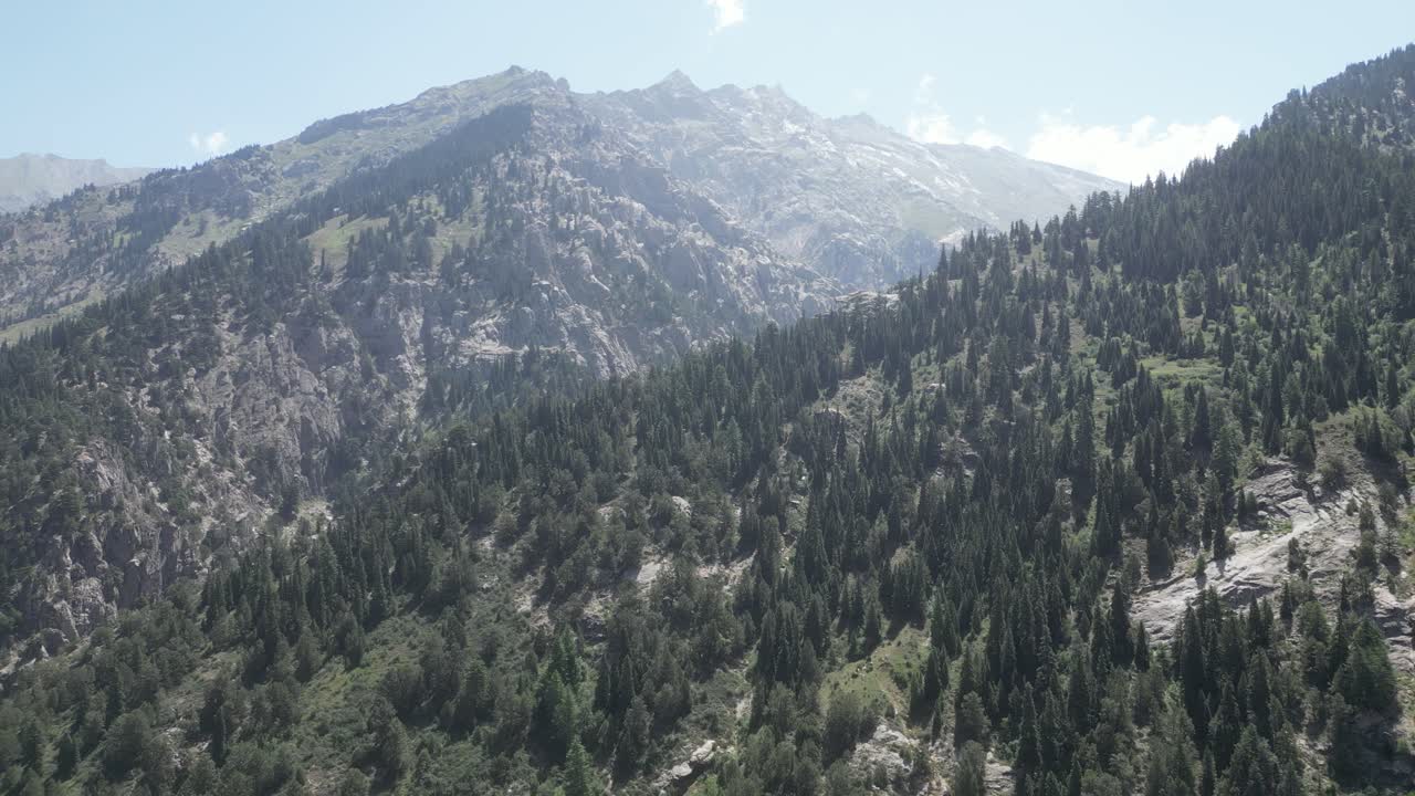 Afghanistan Hindu Kush Drone Aerial view approaching vast mountains and forests in Nangahar Nuristan