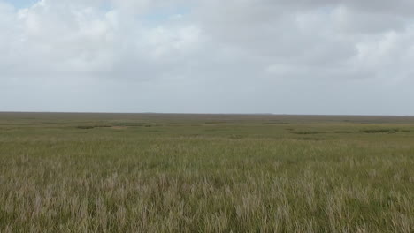 Vista-Aérea-De-Las-áreas-De-Conservación-De-Agua-De-Los-Everglades-De-Florida,-Florida