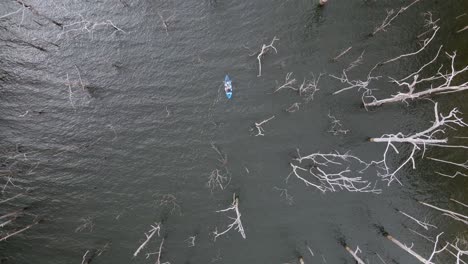 Alta-Vista-única-De-Un-Kayak-Que-Teje-Entre-Grandes-árboles-Viejos-En-Un-Bosque-Inundado