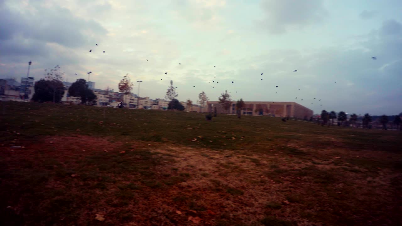 하레플리바흐체 근처의 땅 에서 새들이 낮게 날아다니며 겨울 저녁의 우르파 파노라마