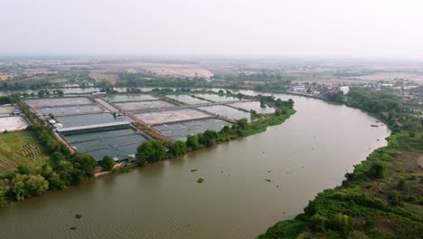 Die-Flugumgebung-Pflanzt-Den-Grünen-Wald-Und-Das-Flussufer