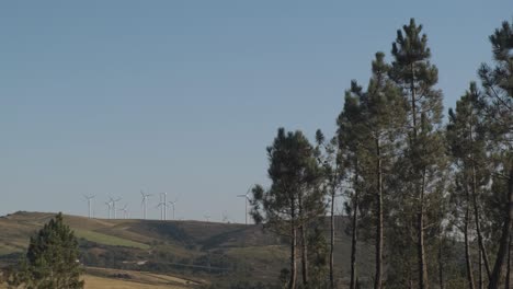 Wunderschöne-Landschaftsaufnahme-Von-Windkraftanlagen,-Umgeben-Von-Bäumen-In-Der-Natur,-Spanien