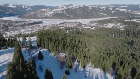 snow-covered forest captured from above in winter, highlighting evergreens and open spaces