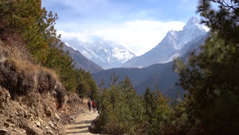 A-beautiful-view-of-the-evergreens-on-the-hillside-with-the-snow-peaked-mountains-in-the-background-and-trekkers-on-the-trail-in-the-foreground