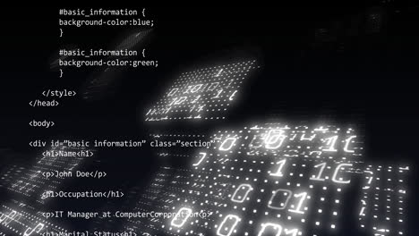 Animation of binary coding and data processing