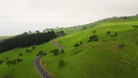 coastal road through hilly meadows in new zealand, aerial drone view