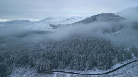 pine forest in winter with flight towards road with single car and snowy distant misty mountains