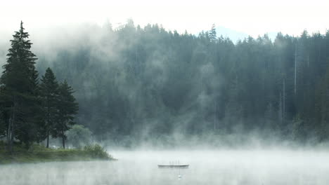 heavy fog in lake rising like steam at the edge of the forest - wide shot