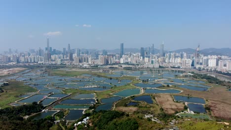 aerial view over shenzhen skyline on a beautiful clear day