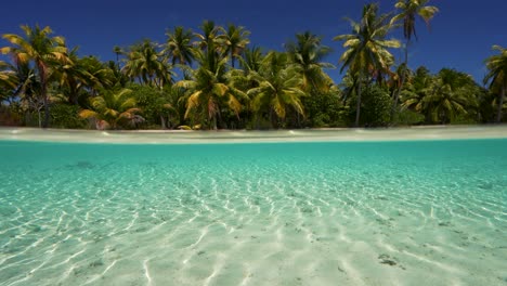 beautiful split shot, camera submerges slowly at a tropical beach in fakarva, second biggest atoll in french polynesia in the south pacific ocean in slow motion