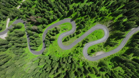 top down drone shot of empty snake road in giau pass, dolomites, italy