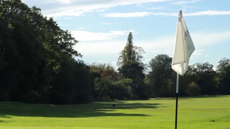golf course on a sunny day