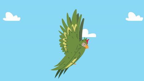 cute parrot flying exotic bird animation