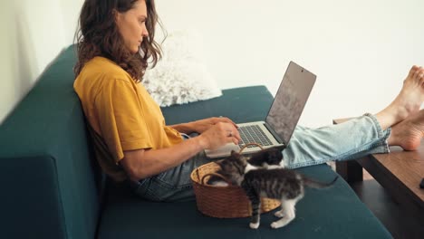 a young woman playing with two little kittens while working from home