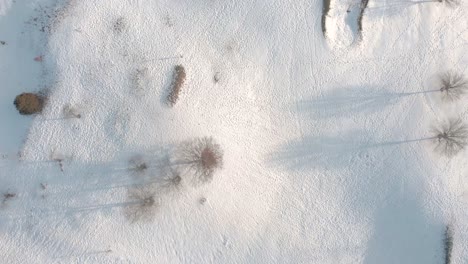 Drone-view-of-a-snowy-golf-course-revealing-outlines-of-golf-course-features,-trees,-paths-and-the-remnants-of-a-recent-blizzard