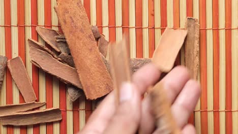 dried cinnamon sticks and pieces on bamboo mat