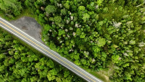 Vista-De-Arriba-Hacia-Abajo-De-Los-Bosques-Naturales,-Girar-Con-Drones