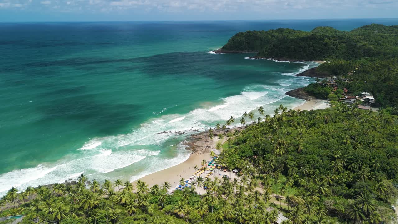 vista aérea de una playa tropical con palmeras y agua turquesa