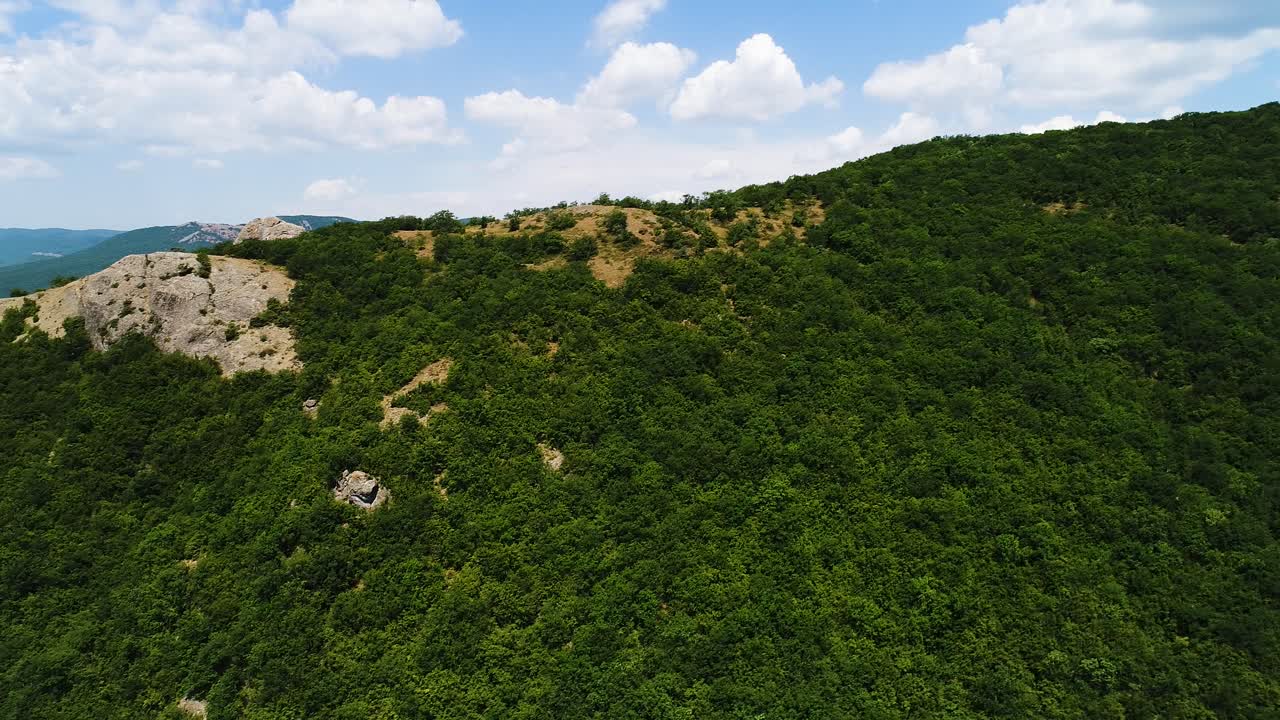 paisaje forestal montañoso