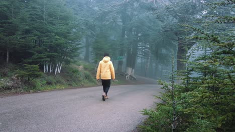 一个穿着黄色夹克的男人走在森林里, 满是香柏树, 在<unk>青的道路和雾<unk>的天气, 在克雷亚 - 阿尔及利亚