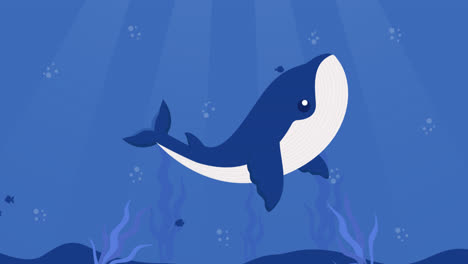 cute cartoon whale underwater