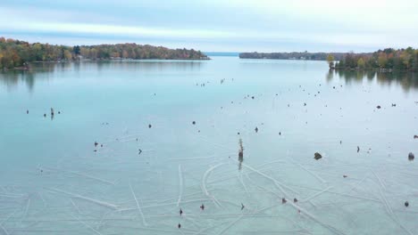 4K-Drone-Circle-around-wood-in-lake-in-Autumn