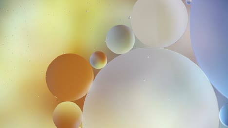 fantastic structure of colorful bubbles. chaotic motion. abstract colorful paint. top view. movement of bubbles in the liquid. oil surface multicolored background. macro