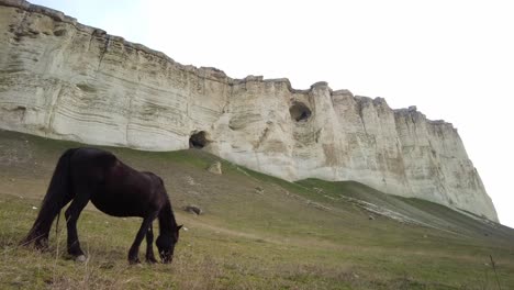 Experimenta-La-Grandeza-De-Crimea-Mientras-Te-Sumerges-En-La-Vista-De-Los-Caballos-Pastando-Junto-Al-Acantilado-Blanco-En-Este-Vídeo,-Que-Encarna-La-Belleza-Natural-Y-La-Tranquilidad.