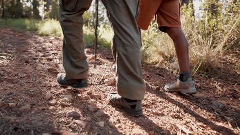 excursionistas en un sendero