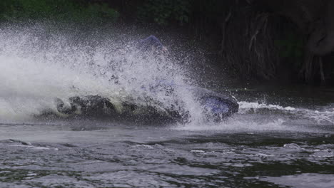 extreme sports jet ski action
