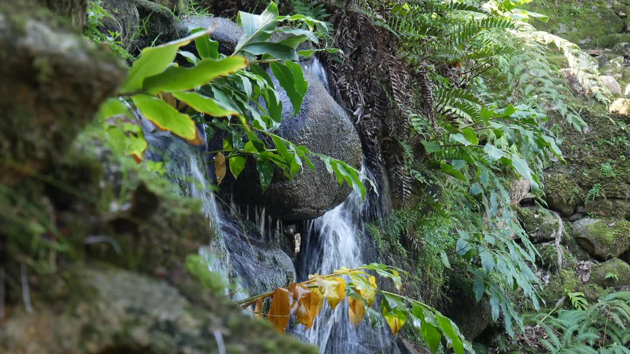 Serene Waterfall in Lush Tropical Garden