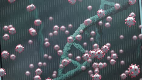 animación de las células del virus sobre la hebra de adn
