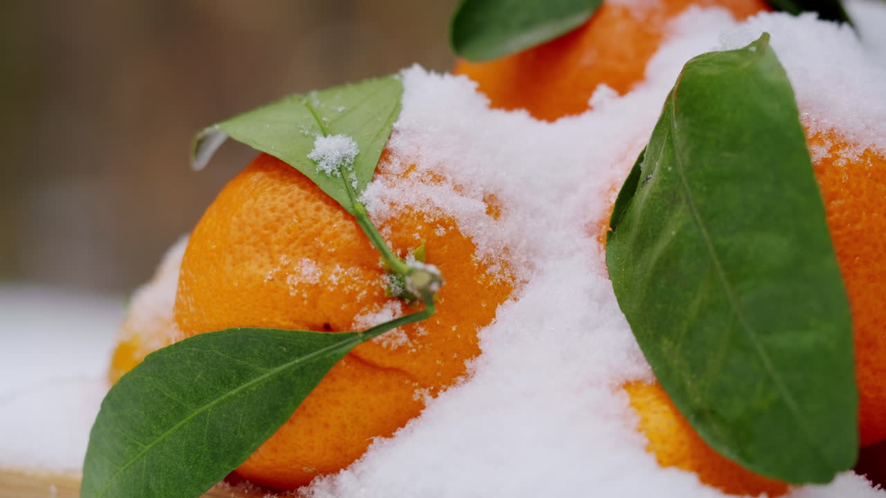 Snötäckta mandarinapelsiner