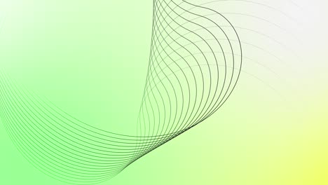 twisted colorful ribbon digital line. wavy ribbon from so much parallel lines. abstract background with lines.