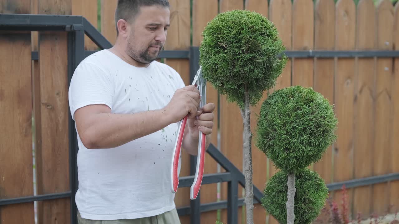 정원 가공자 는 정원 에 있는 장식용 관목 을 가시 로 잘라서, 식물 의 모양 과 정원 의 미학 에 초점을 맞추고 있다.