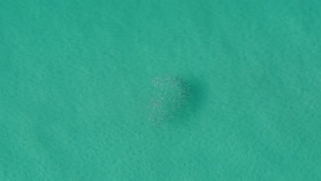 aerial topdown view of small fish group in clean, transparent sea water blue ocean in sun