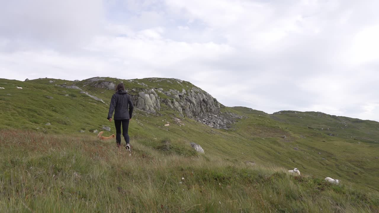 A person walking with a dog in the Norwegian mountains, surrounded by nature