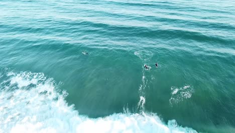 在藍色大海的海灘上, 無人機的衝浪者嘗試抓住波浪衝浪和跌倒