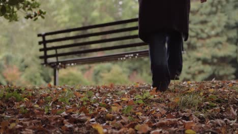 Relaxing-walk-in-autumn-leaves-with-park-bench-background