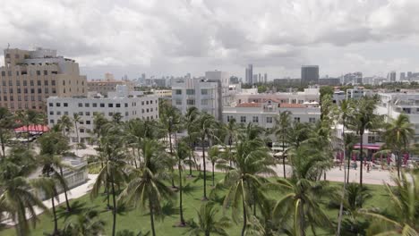 aerial rises over sunny palm tree park revealing miami city in cloud