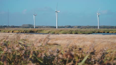 Eine-Reihe-Von-Windkraftanlagen-An-Der-Dänischen-Küste