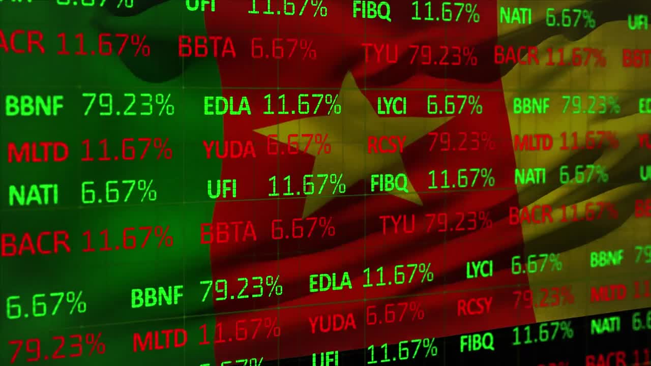 카메룬의  ⁇ 발 위에서 금융 데이터 처리의 애니메이션