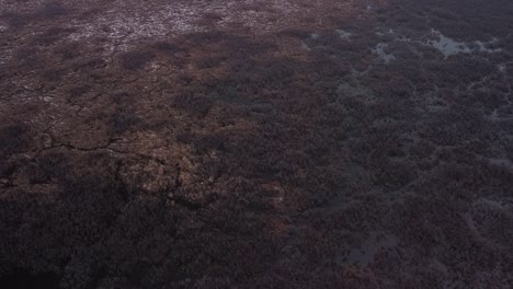 winter river marsh lands with dark cold waters and snowy grasses