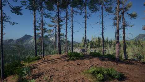 spruce-and-pine-trees-and-mountains-of-Colorado