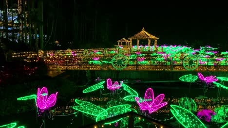 4khd-Weihnachten-2020-Botanischer-Garten-Okinawa-Japan-4