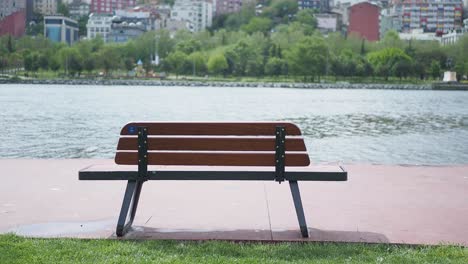 도시 공원 의 호수 를 내려다보는 외로운 벤치