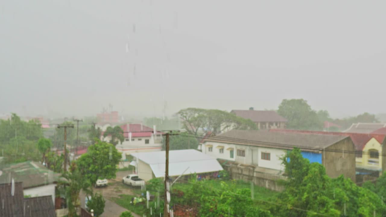 4k 집에 비가 내리고, 아름다운 풍경, 낮에는 잎 위에 비가 올 때, 작은 나무에 비가 떨어집니다.