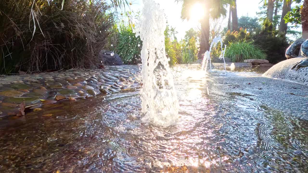 오스트레일리아 멜버른 동물원 에서 빛 에 반이는 물 분수