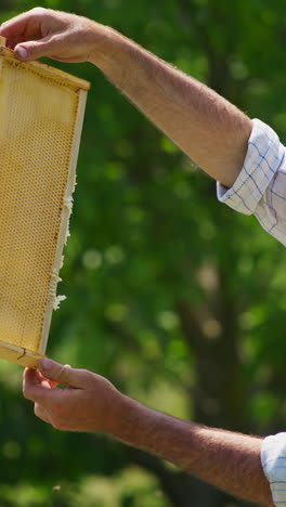Beekeeper Holding Honeycomb Frame